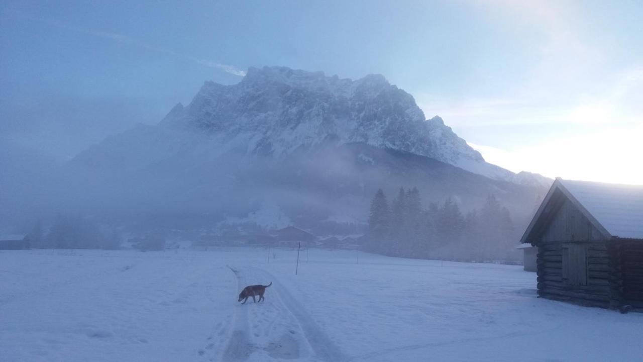 Tyrol Appartements Ehrwald Zewnętrze zdjęcie