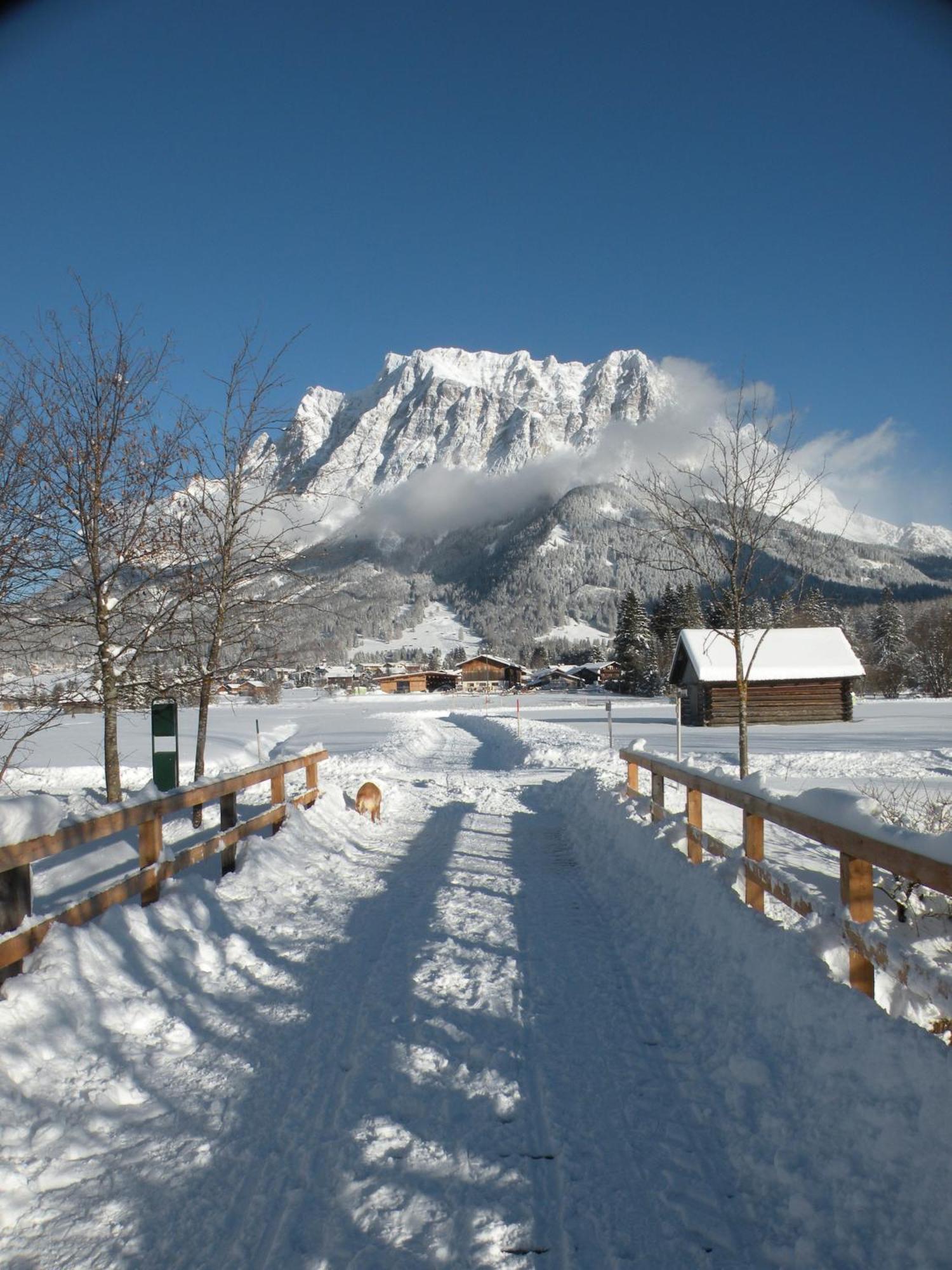 Tyrol Appartements Ehrwald Zewnętrze zdjęcie